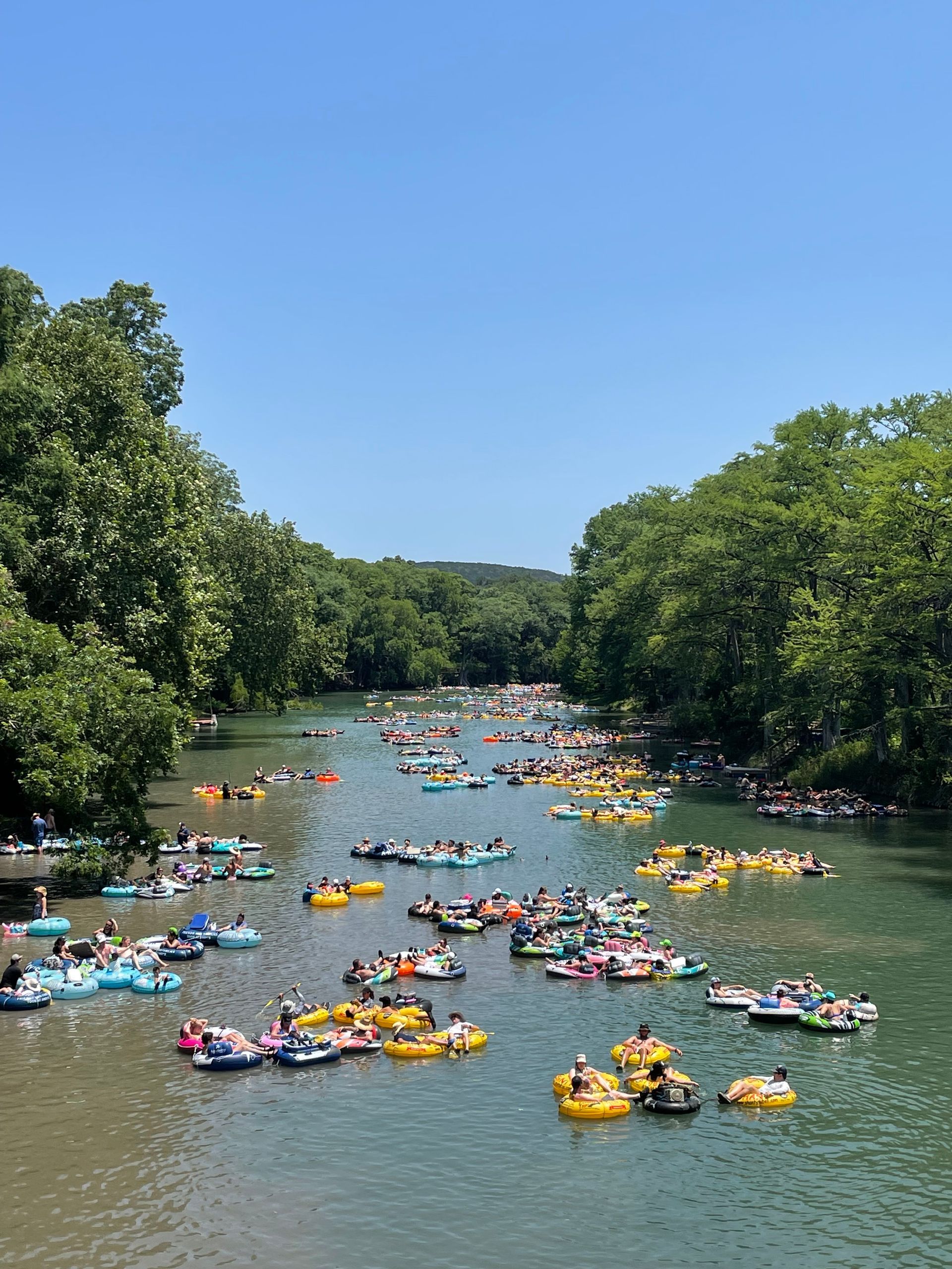 People floating in inner tubes on a river surrounded by trees under a bright blue sky.