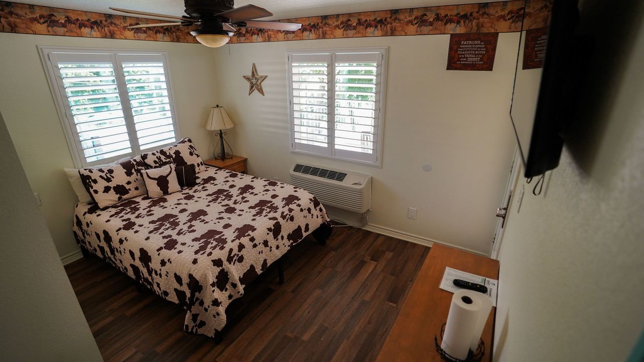 Bedroom with cow print bedding, two windows with shutters, and a wall-mounted TV.