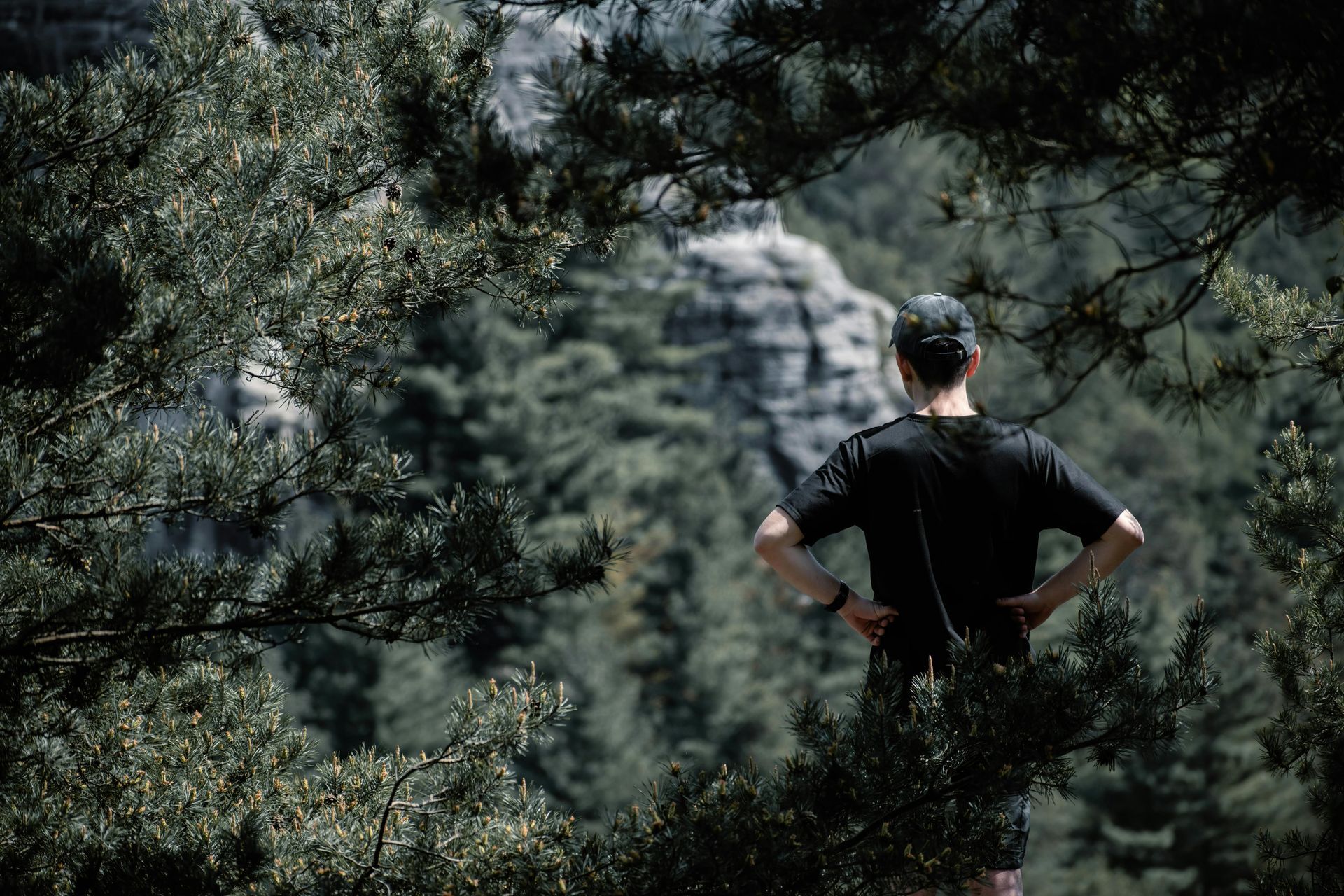 Man in black shirt and cap looks out at a green forest from a vantage point, hands on hips.